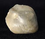 Sellithyris subsella LEYMERIE 1846 - Bild © FossNet FossilienStore